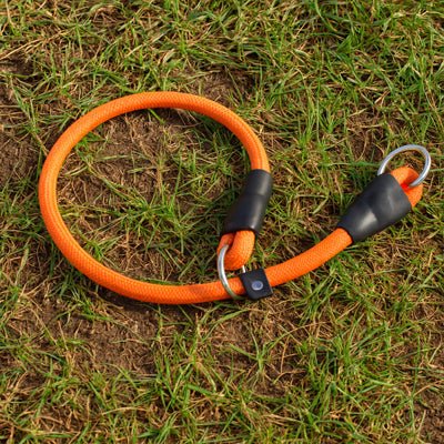 Collier pour chien | Canip - empire chien