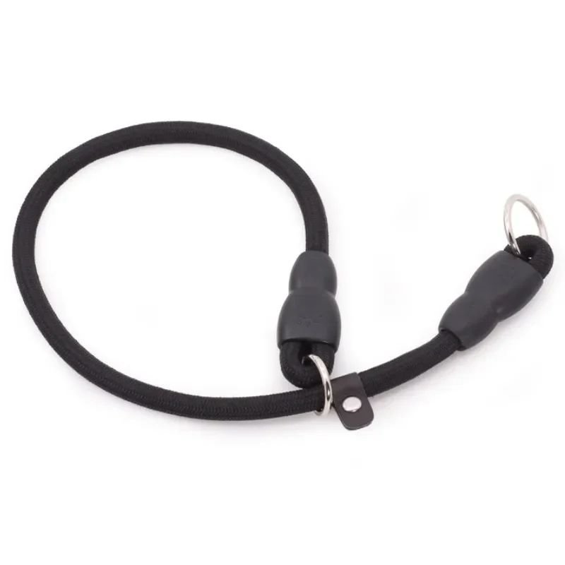 Collier pour chien | Canip - empire chien