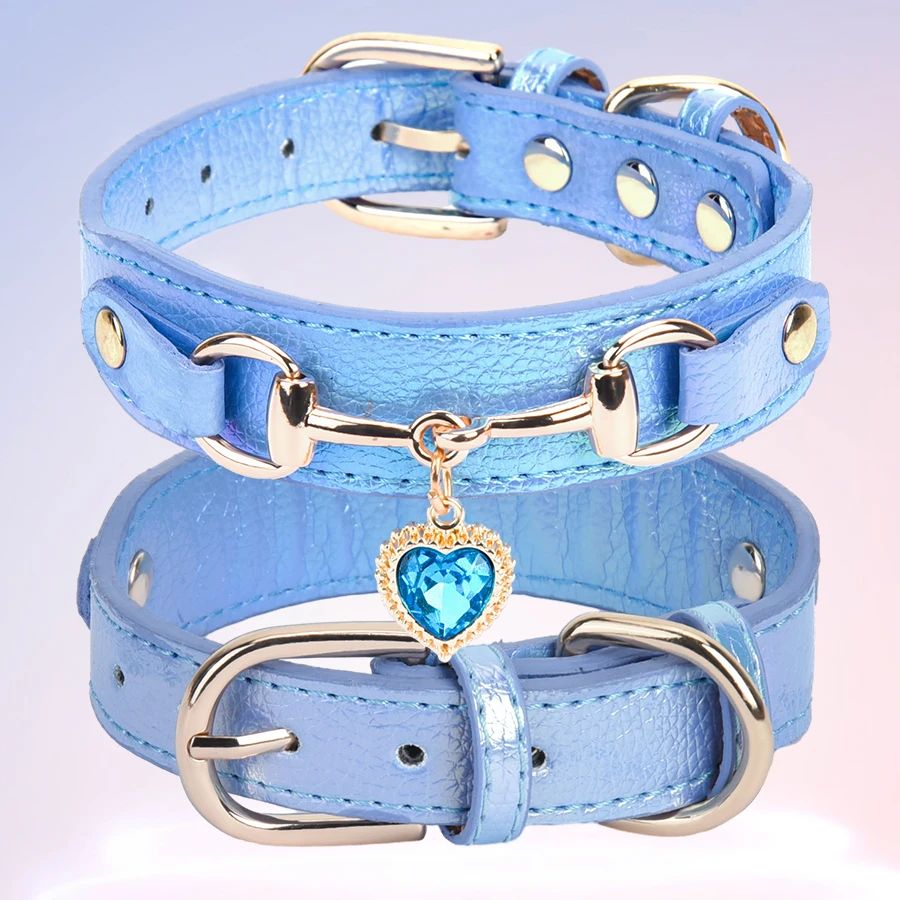Collier pour chien | CollierAmour - empire chien