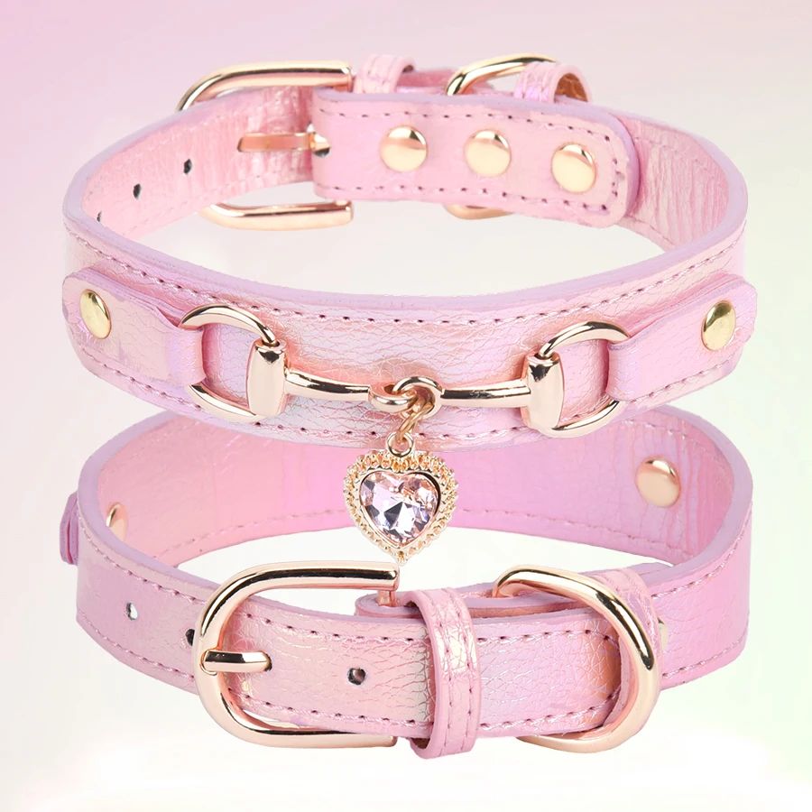 Collier pour chien | CollierAmour - empire chien