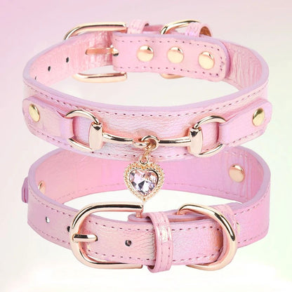 Collier pour chien | CollierAmour - empire chien