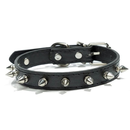 Collier pour chien | Collipik - empire chien