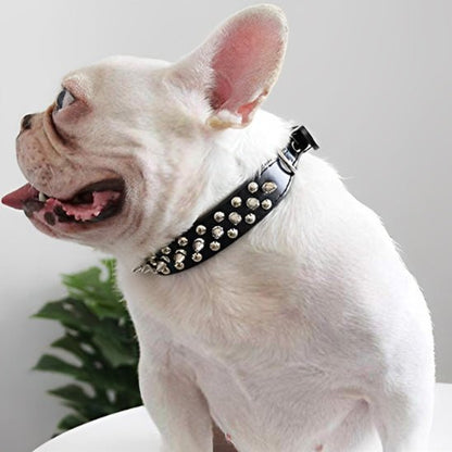 Collier pour chien | Collivet - empire chien