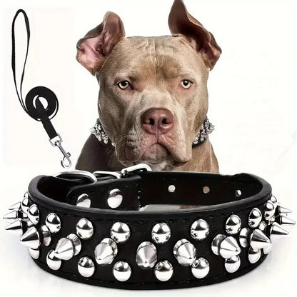 Collier pour chien | Collivet - empire chien