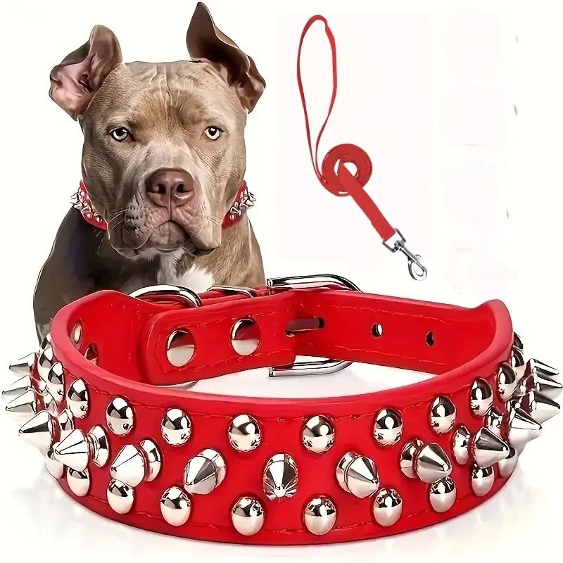 Collier pour chien | Collivet - empire chien
