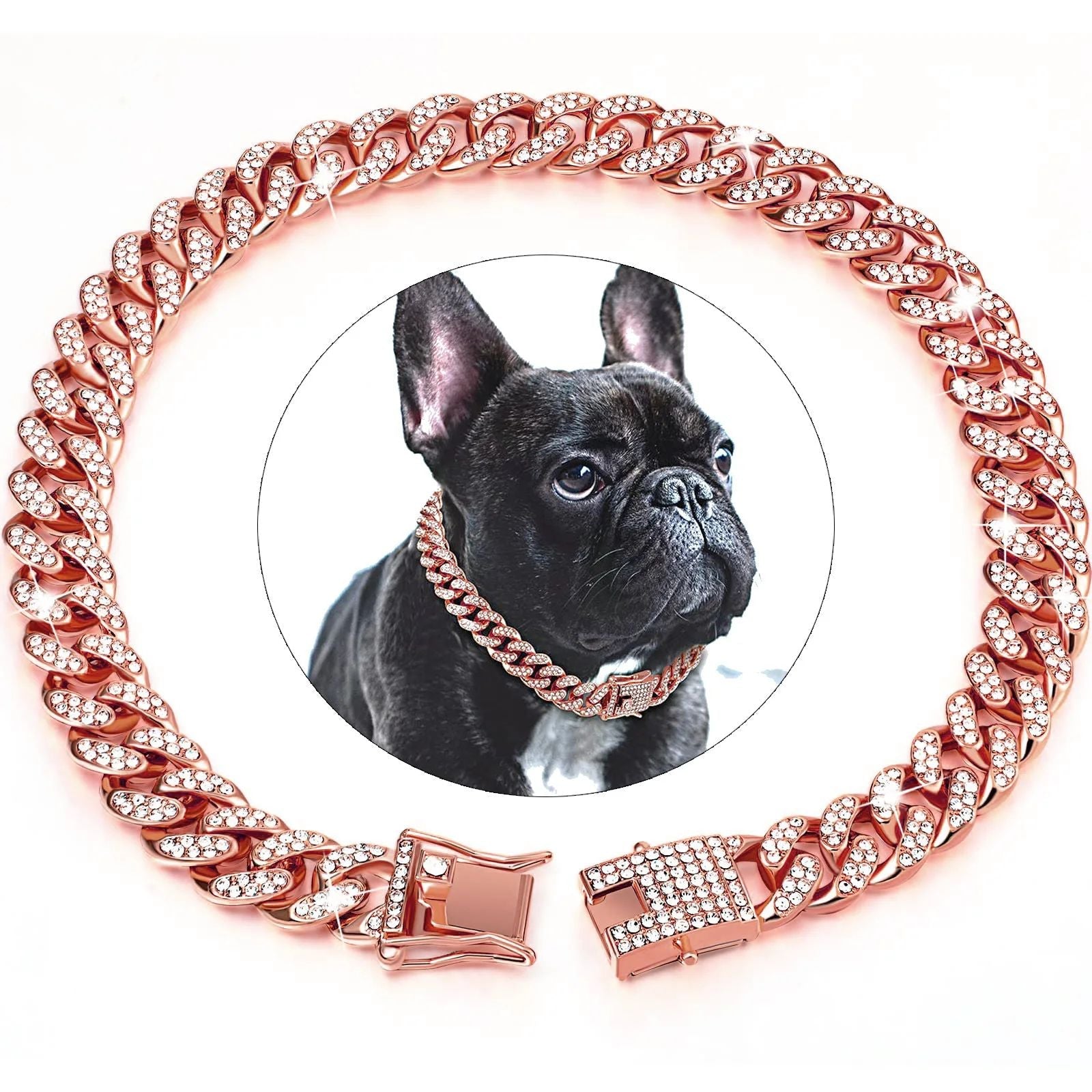 Collier pour chien | Luxou - empire chien