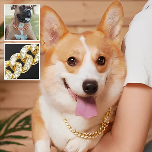 Collier pour chien | Luxou - empire chien