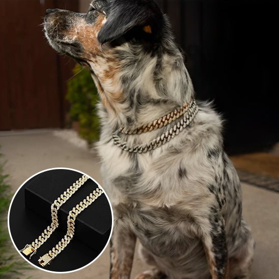 Collier pour chien | Luxou - empire chien