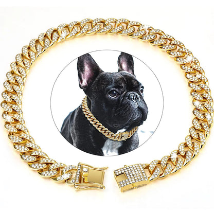Collier pour chien | Luxou - empire chien