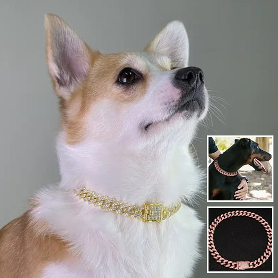 Collier pour chien | Luxou - empire chien