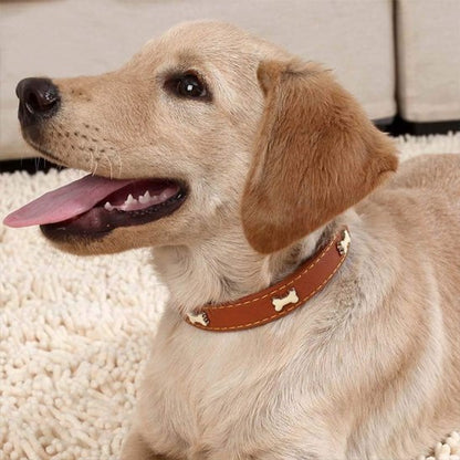 Collier pour chien | Patcuir - empire chien