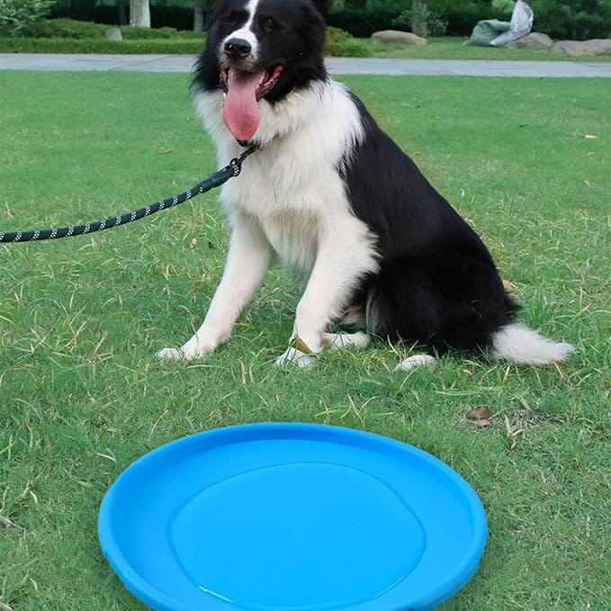 FlyDog™ - Bleu - empire chien