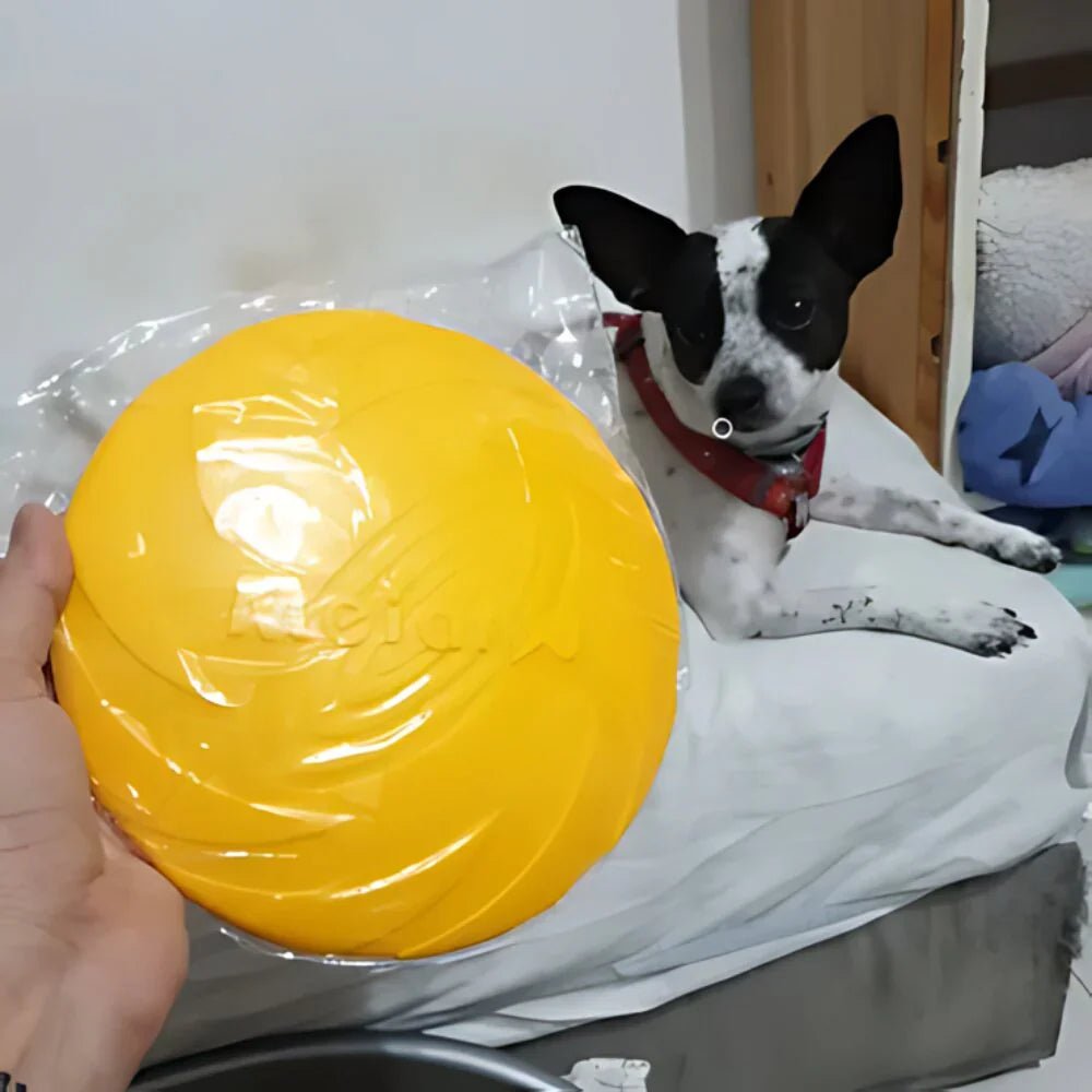 Frisbee - FlyDog™ - Jaune - empire chien