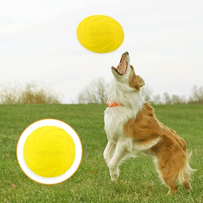 Frisbee - FlyDog™ - Jaune - empire chien