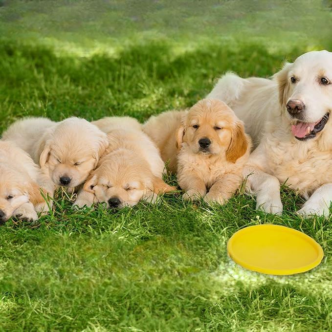 Frisbee - FlyDog™ - Jaune - empire chien