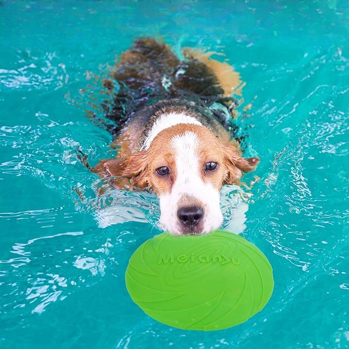 Frisbee - FlyDog™ - Vert - empire chien