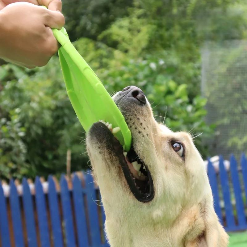 Frisbee - FlyDog™ - Vert - empire chien