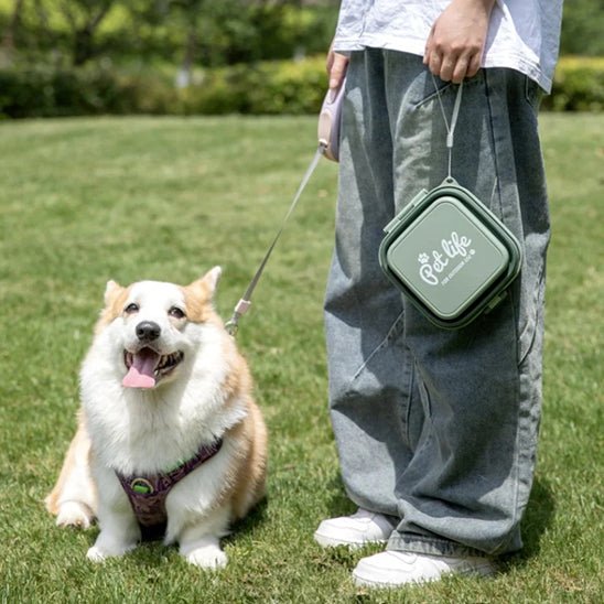 Gamelle chien | GamiGo - empire chien