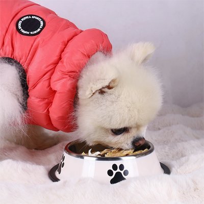 Gamelle Chien | PetDining - empire chien