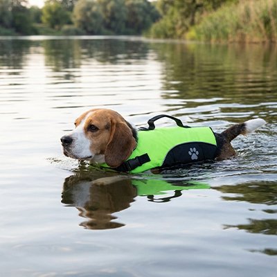 Gilet de sauvetage Chien utile parfait