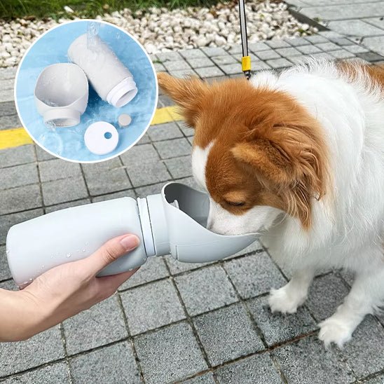 Gourde chien | Drinko - empire chien