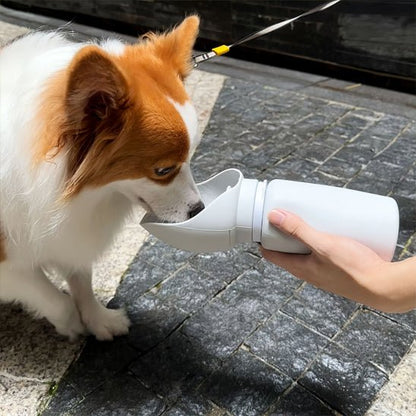 Gourde chien | Drinko - empire chien