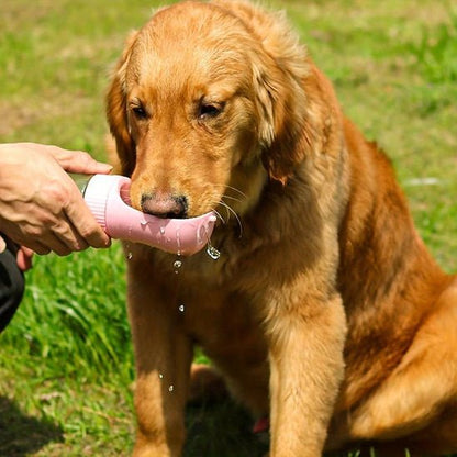 Gourde chien | Léchou - empire chien
