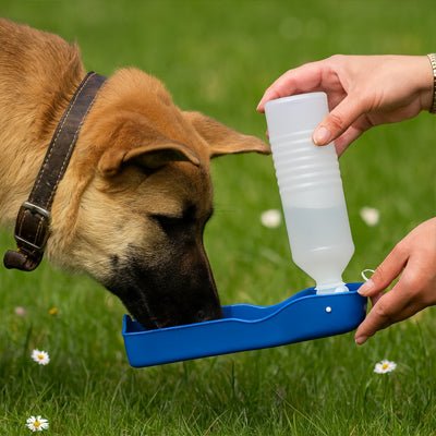 Gourde pour chien | Aquadog - empire chien