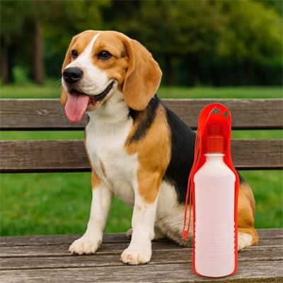 Gourde pour chien | Aquadog - empire chien