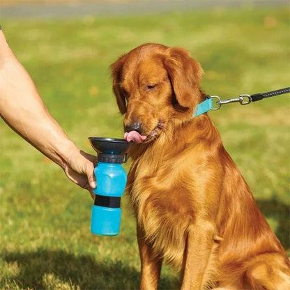 Gourde pour chien | BoBoLéo - empire chien