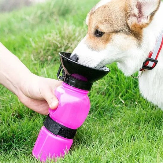 Gourde pour chien | BoBoLéo - empire chien