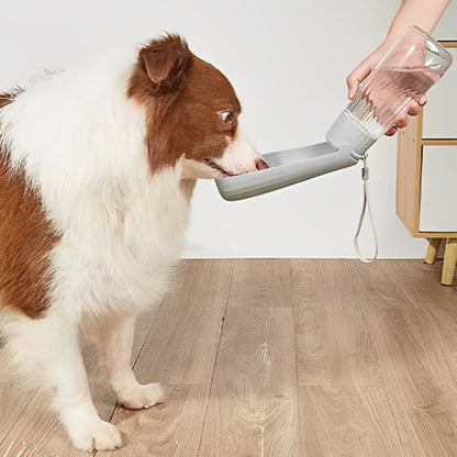 Gourde pour chien | Gourdog - empire chien