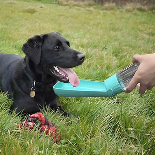 Gourde pour chien | Gourdog - empire chien