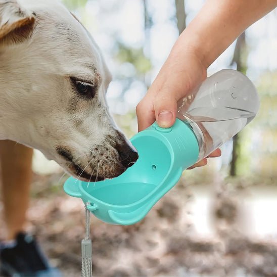 Gourde pour chien | Gourdy - empire chien