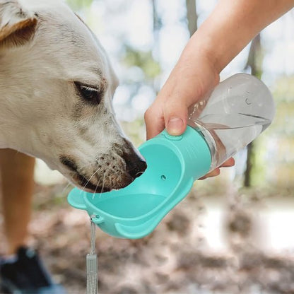 Gourde pour chien | Gourdy - empire chien