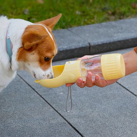 Gourde pour chien | HydroCroq - empire chien