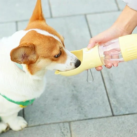 Gourde pour chien | HydroCroq - empire chien