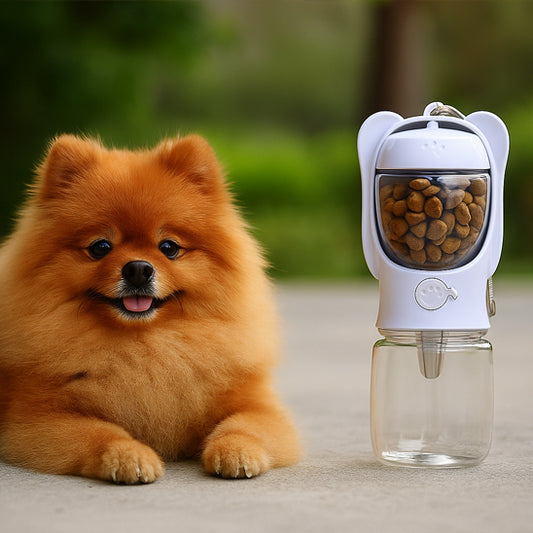 gourde pour chien parfaite cute