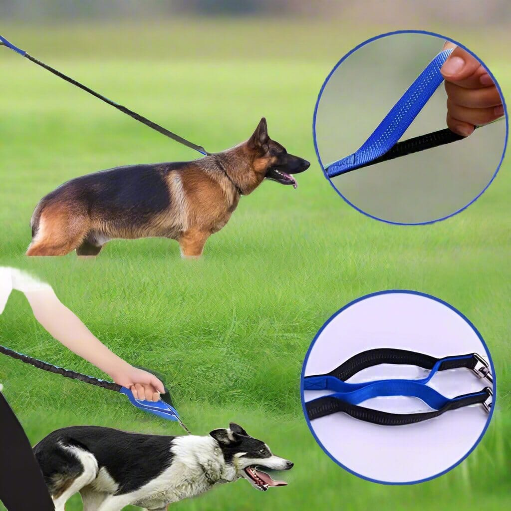 HandFreeDogLeash™ - Bleu - empire chien