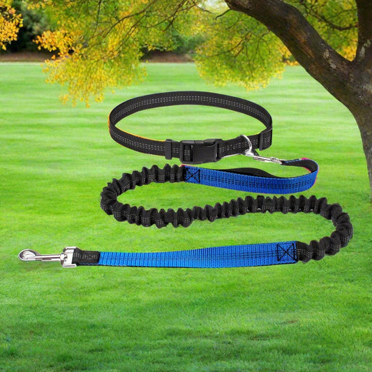 HandFreeDogLeash™ - Bleu - empire chien