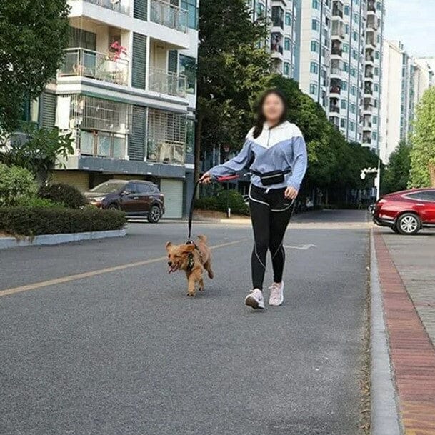 HandFreeDogLeash™ - Rose - empire chien