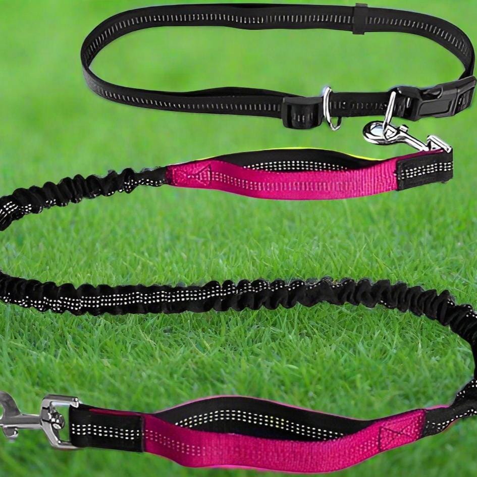 HandFreeDogLeash™ - Rose - empire chien