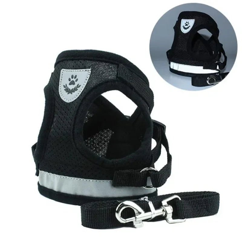 Harnais chien | Confort Ajustable - empire chien