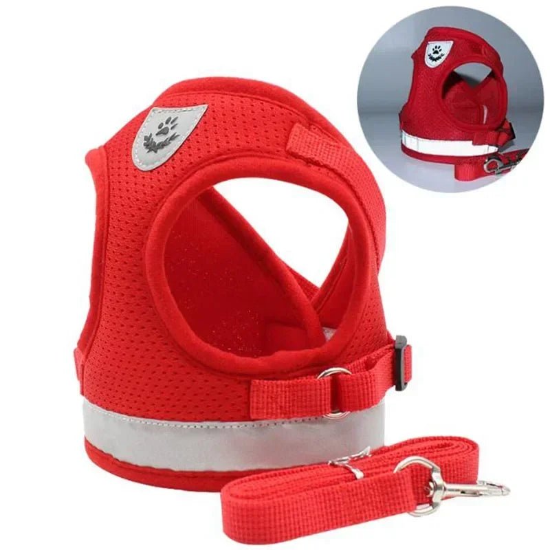 Harnais chien | Confort Ajustable - empire chien