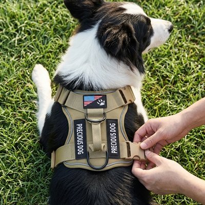 Harnais chien | Confort Anti - Traction - empire chien