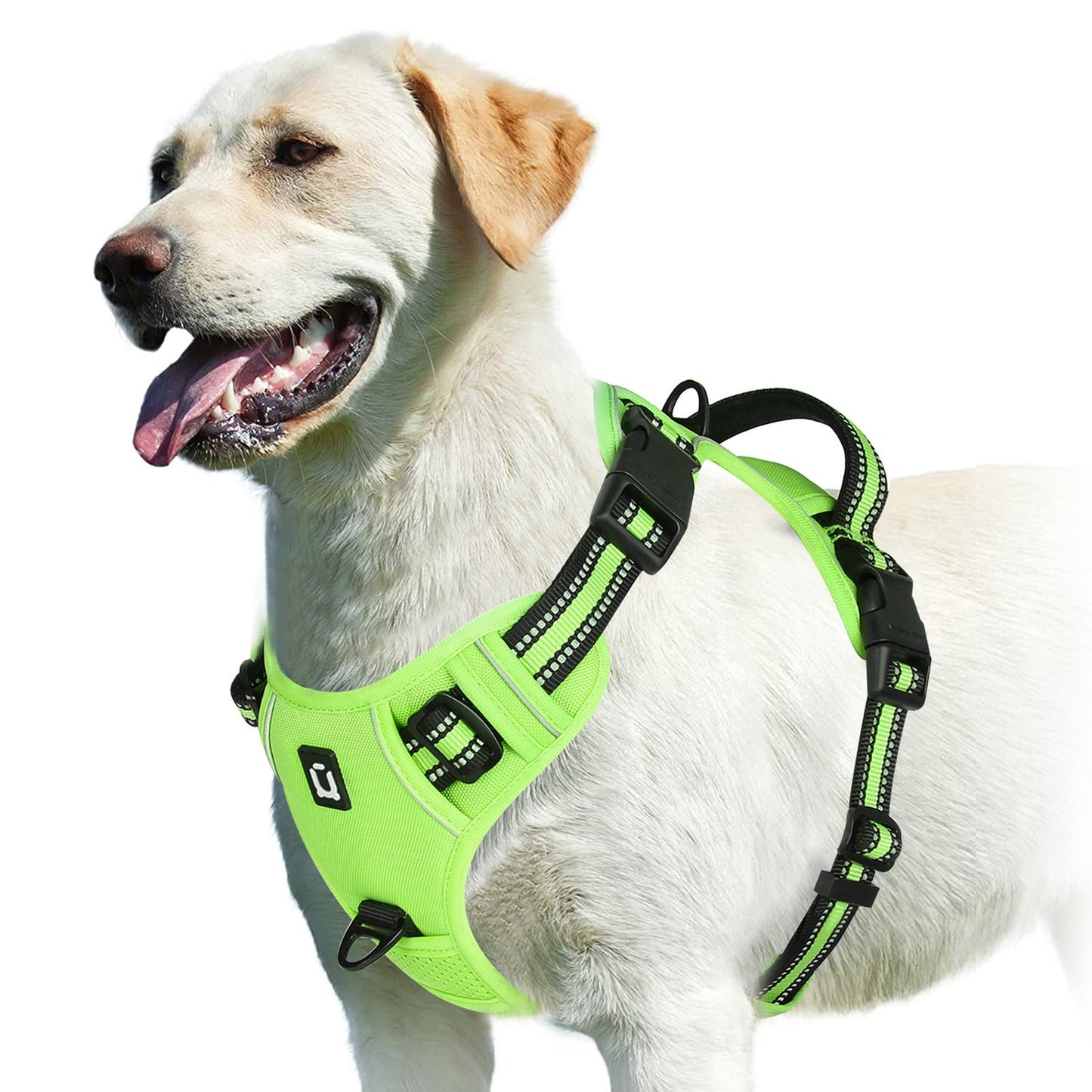 Harnais chien | Confort Secure - empire chien