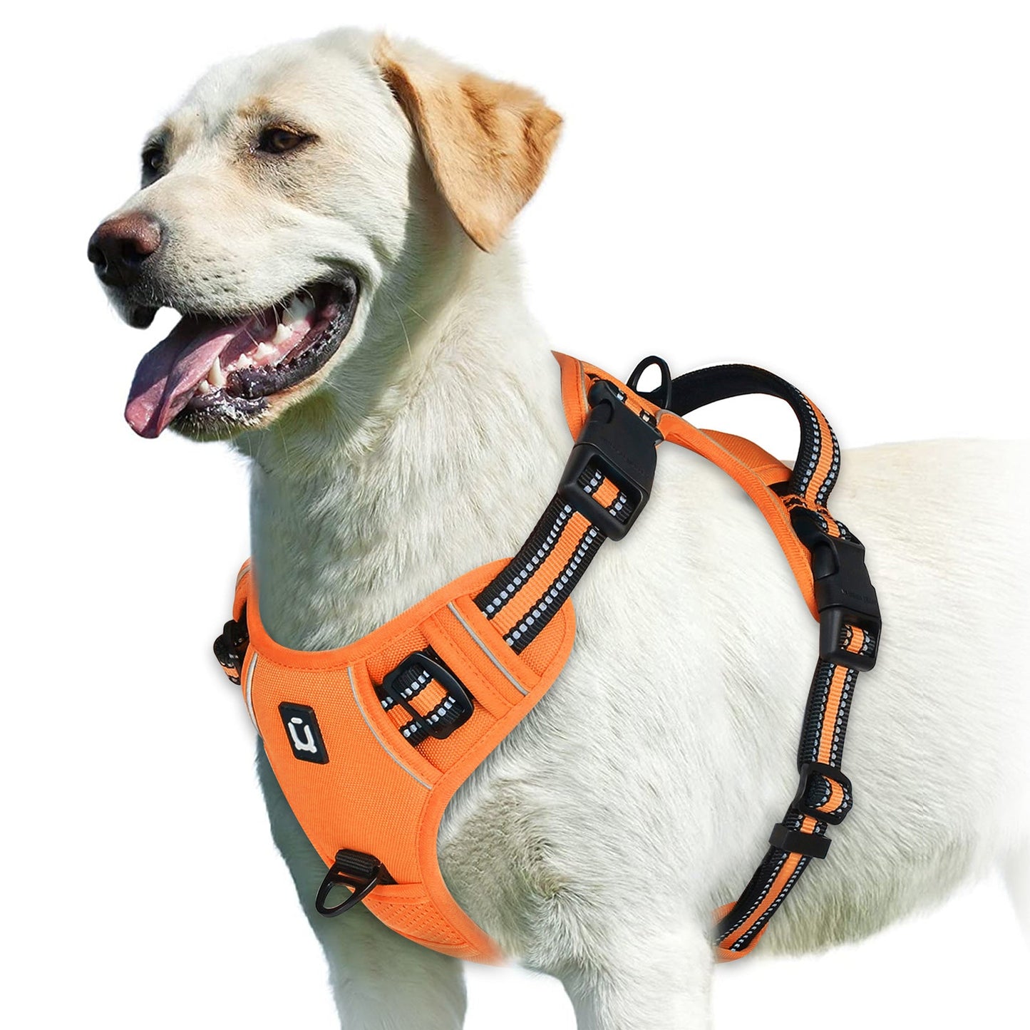 Harnais chien | Confort Secure - empire chien