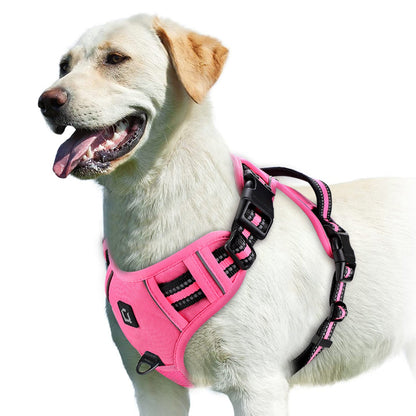 Harnais chien | Confort Secure - empire chien