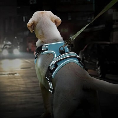 Harnais chien | Confort Secure - empire chien