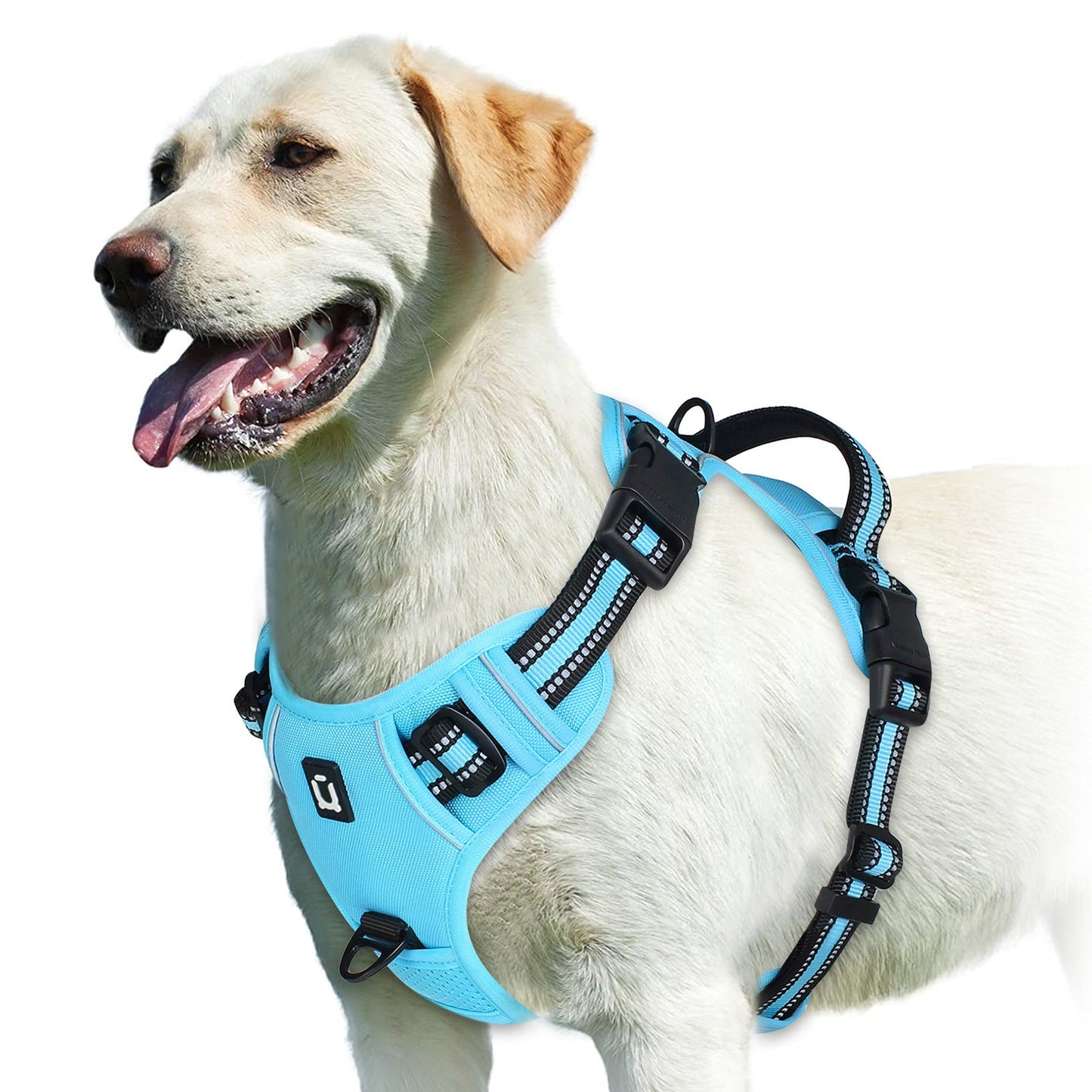 Harnais chien | Confort Secure - empire chien
